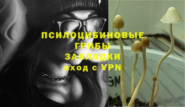 стафф Вяземский