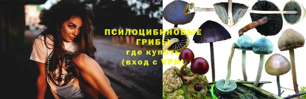 а пвп мука Вязьма