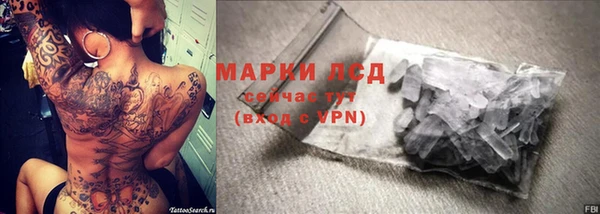стафф Вяземский