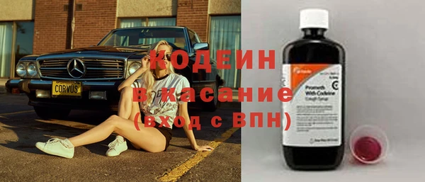 стафф Вяземский