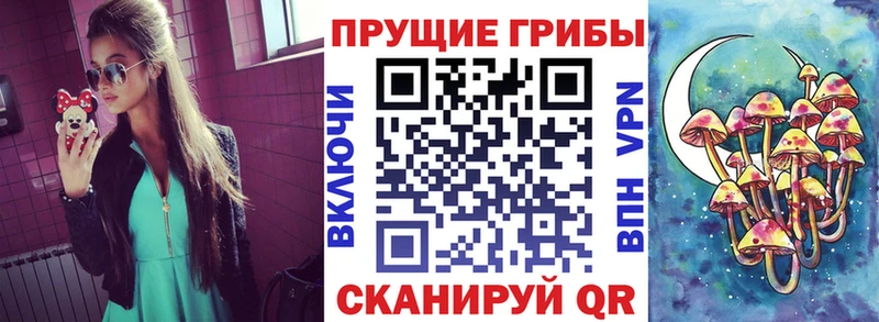 Галлюциногенные грибы MAGIC MUSHROOMS  Купить закладки  Ладушкин 